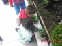 Infantil 1 - Plantando Girassóis